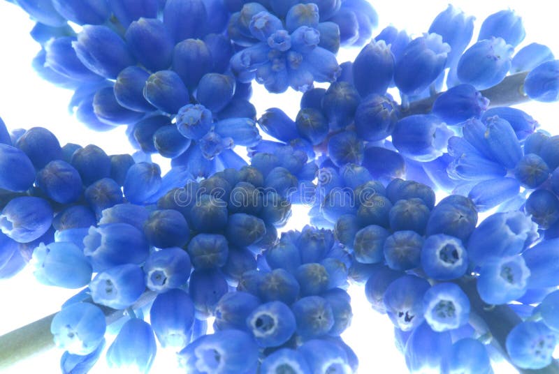 MTG, LIGHT, MID, BIN R/LESS. B20D