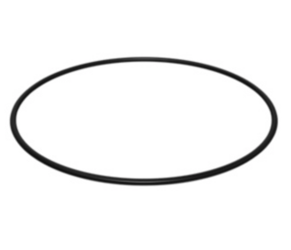 CAT O RING