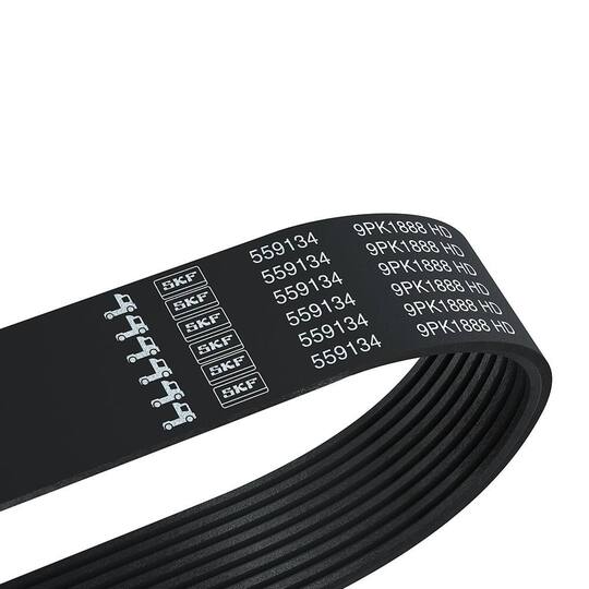 FAN BELT