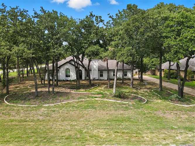 CONTINENTAL FAN BELT 