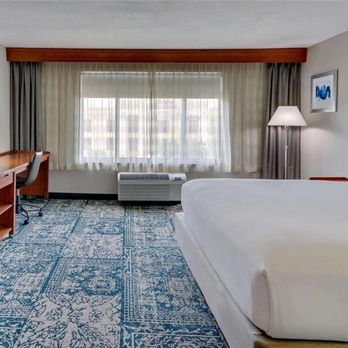 CAT HOSE DISPOSA (BOTS)