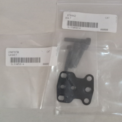 GASKET (BOTS)