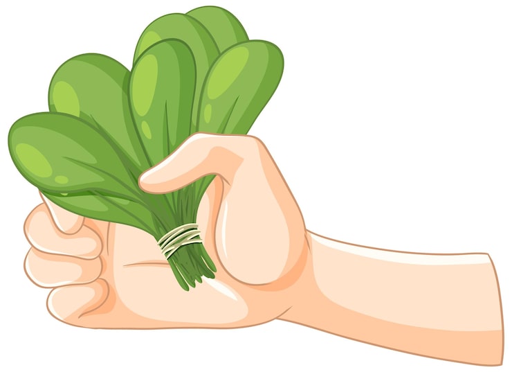 BKT, REAR, LIGHT COVER. B40D