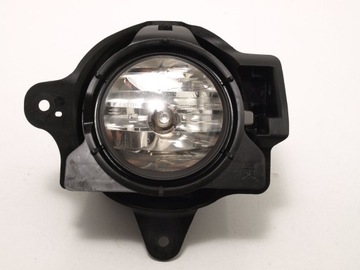LAMP SET FOG RH D4D 