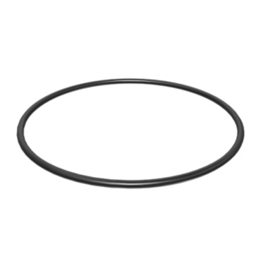 O - RING SEAL