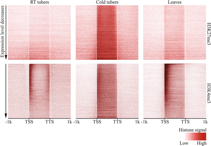 STEERING COLUMN NG. ADT D-SERIES (BOTS)