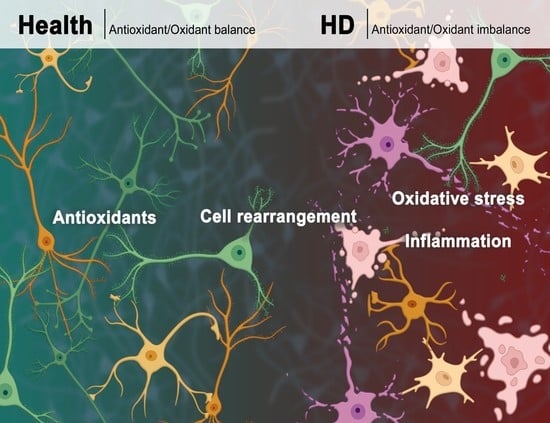 TIE ROD, END, WITH CLIP 6MM (BOTS)