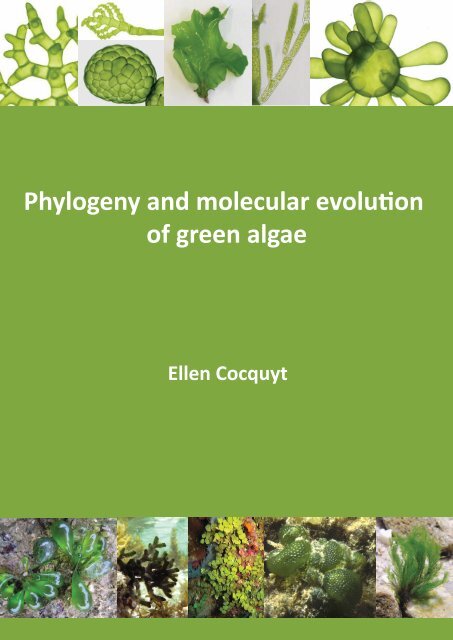 WASHER, INPUT SHAFT NUT (BOTS)