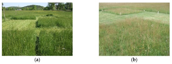 BELL O-RING 135X2.5 (BOTS)