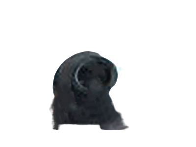 BUSH (FOR LOAD SENSING SPRING SHACKLE)