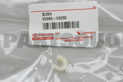 BUSH