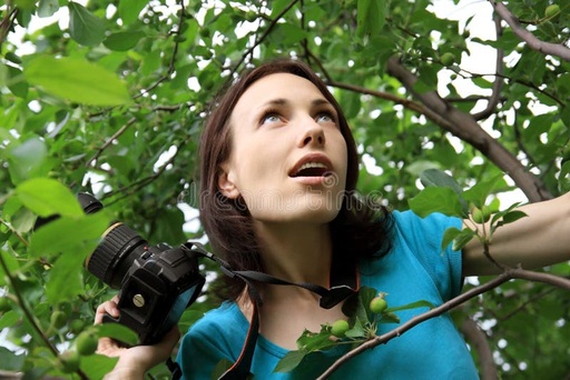 [12632366] BELL ACCUMULATOR