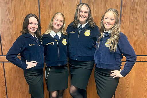 [BELL 162216] BELL SHIM