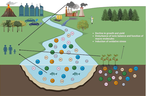 [BELL 141055 BOTS] BELL RETURN FILTER KIT (BOTS)