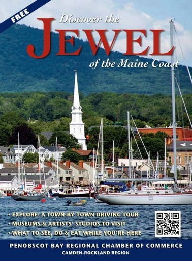 [CAT 2213450 BOTS] CAT MOTOR ASSEMBLY WIPER (BOTS)