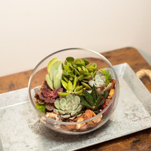 [1398794 AIR CLEANER COVER LATCH BOTS (2A3)] AIR CLEANER COVER LATCH BOTS