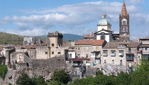 [BELL 218646] HOSE RADIATOR, MIDDLE B40D